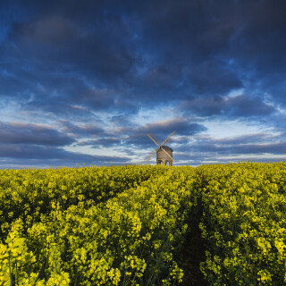 Windmill_0327
