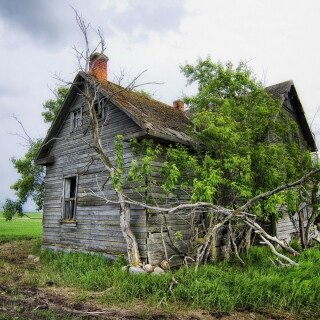 Cabin_0004