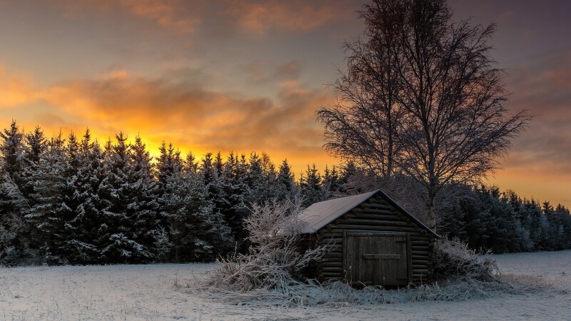 Cabin 0198