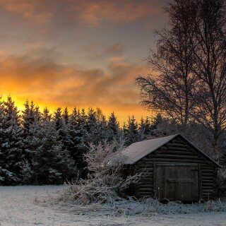 Cabin_0198