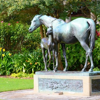 Sydney_0152