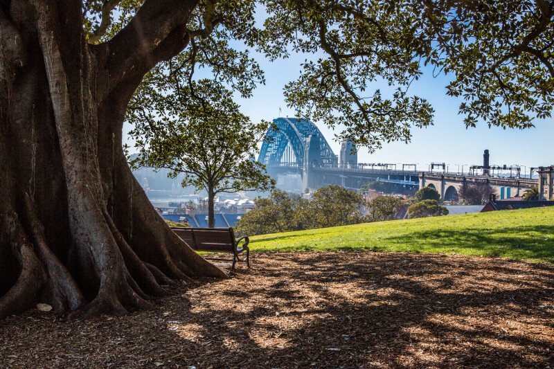 Sydney 0173