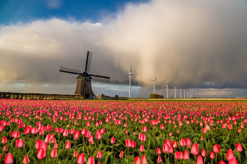Windmill_0092.jpeg