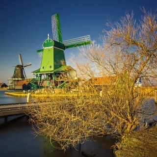 Windmill_0199