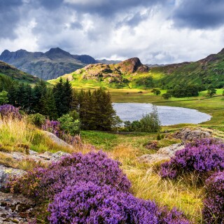 England_0198