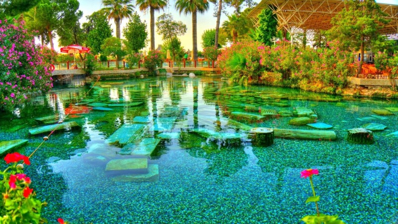 Pool_0223.jpg