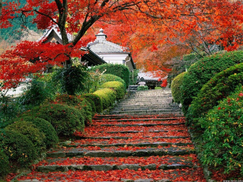 Stairs_0005.jpg
