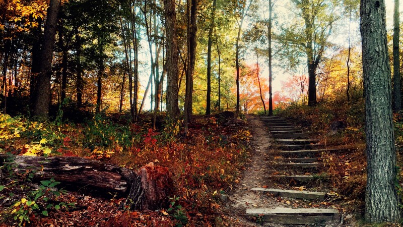 Stairs_0179.jpg