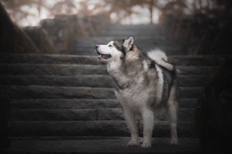 Stairs_0192.jpg