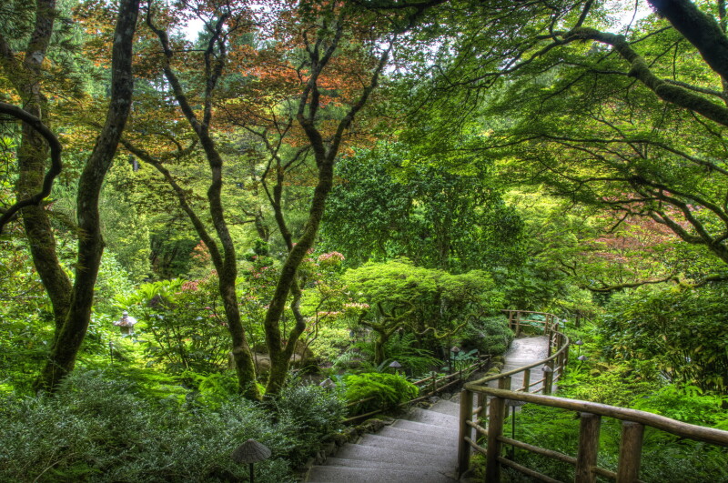 Stairs 0233