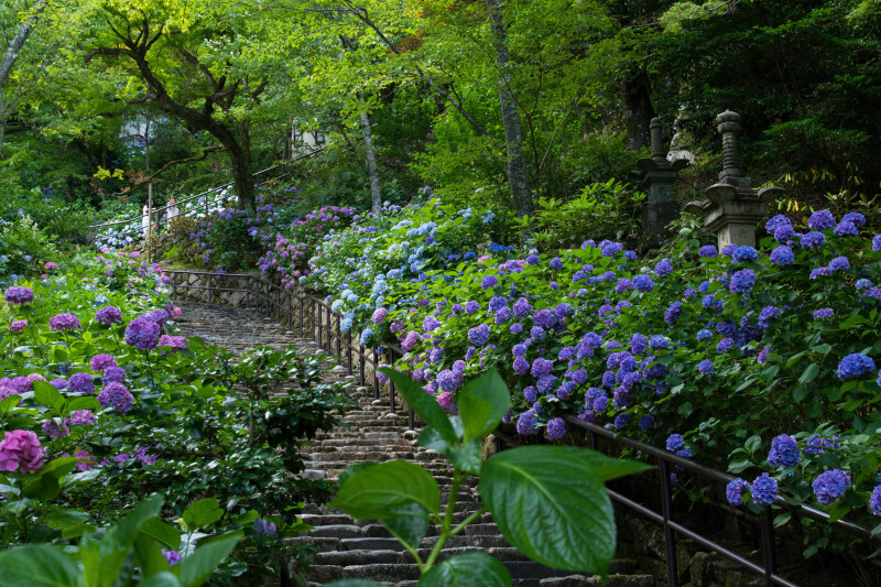 Stairs_0282.jpg
