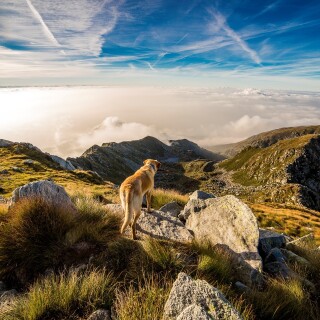 Switzerland_0002