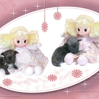 Toy_0025