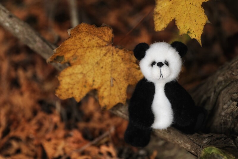 Toy_0259.jpg