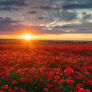 England_0156