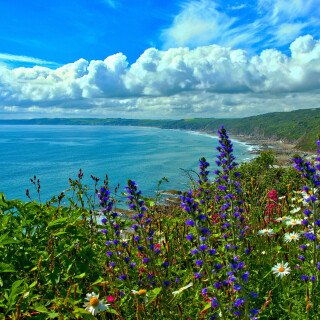 England_0221