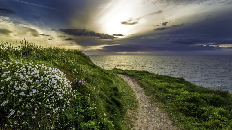 England 0225