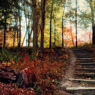 Stairs_0179