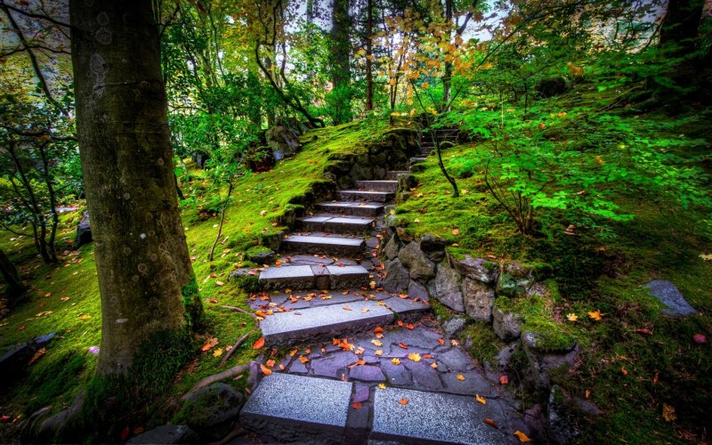Stairs 0186