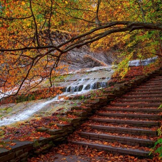 Stairs_0189