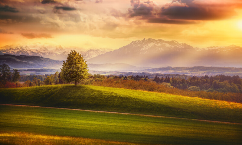 Switzerland 0088