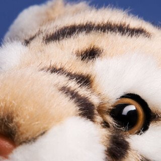 Toy_0042
