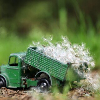 Toy_0088