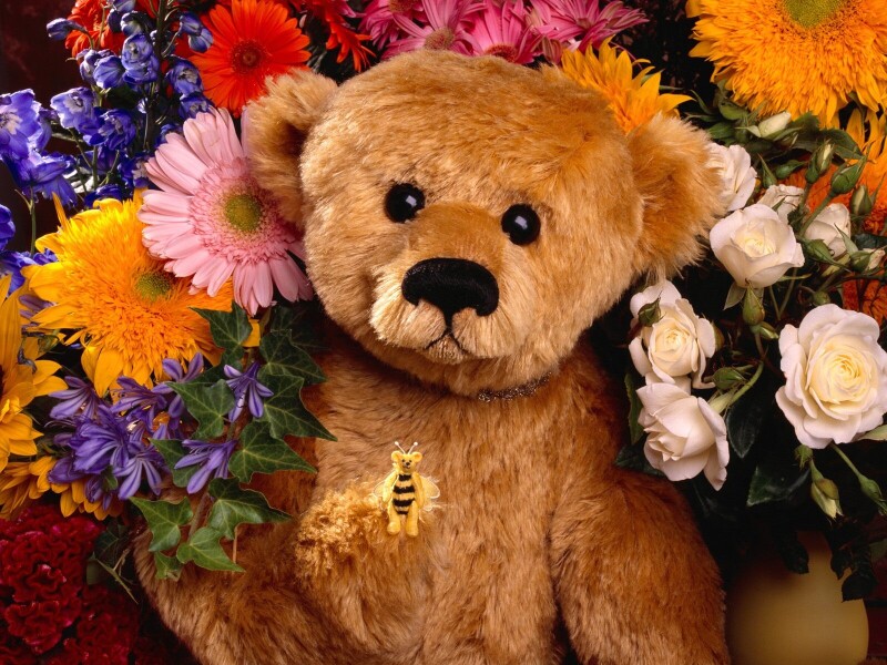 Toy_0138.jpg