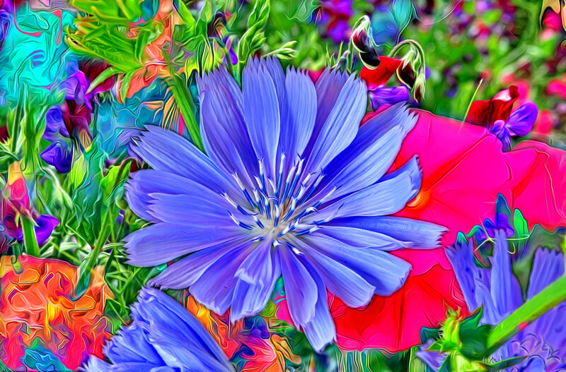 Colorful_0185.jpg