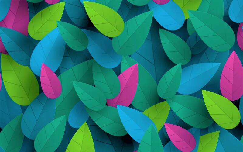 Colorful_0244.jpg