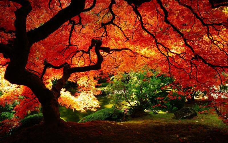 Colorful_0378.jpeg