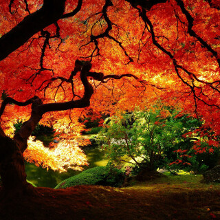 Colorful_0378