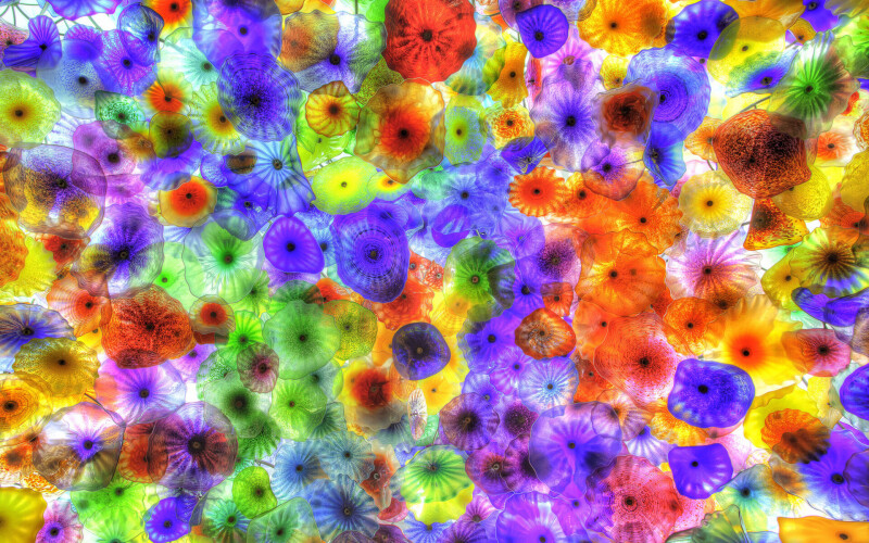 Colorful_0465.jpg
