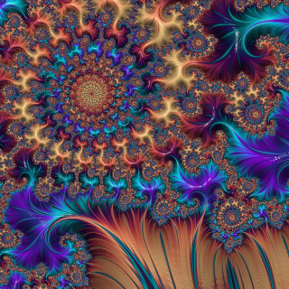 Colorful_0498