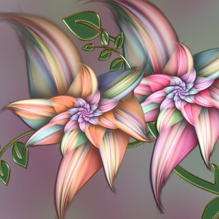 Colorful_0499