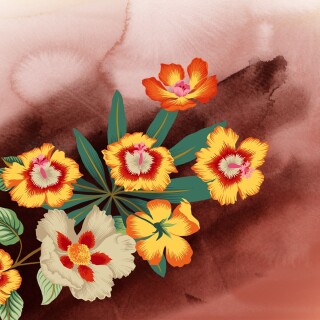 Colorful_0515