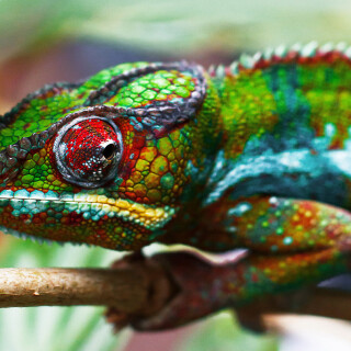 Colorful_0516