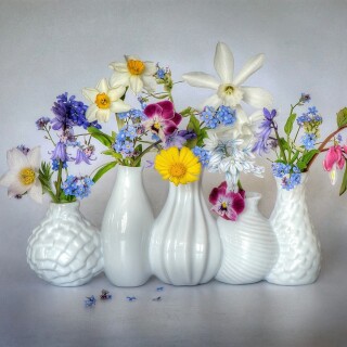 Colorful_0532