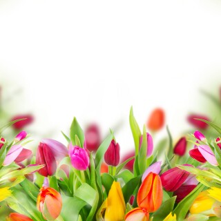 Colorful_0679