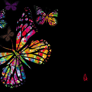 Colorful_0691
