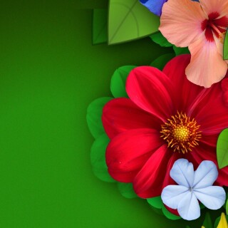 Colorful_0704