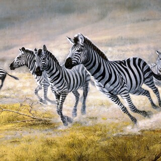 Painting_0516