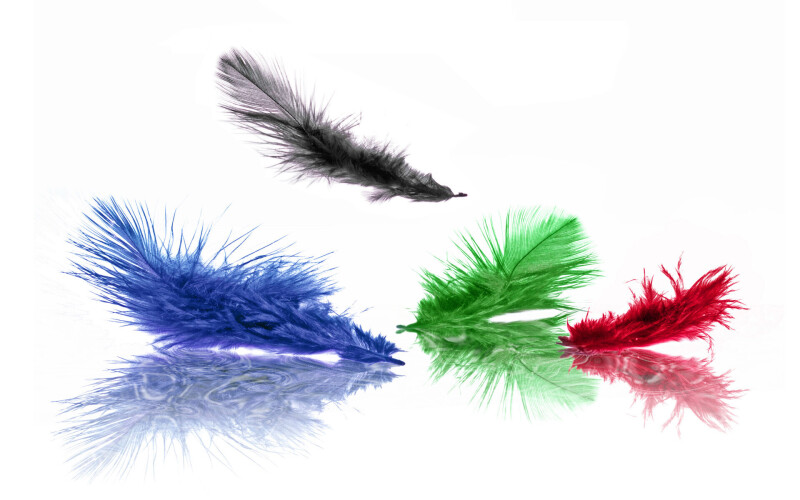 Colorful 0027