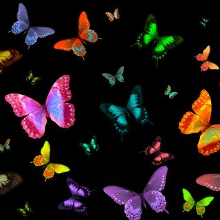 Colorful_0411