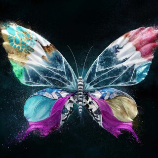 Colorful_0526