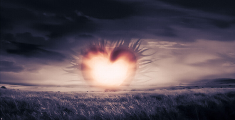 Love_0179.jpg