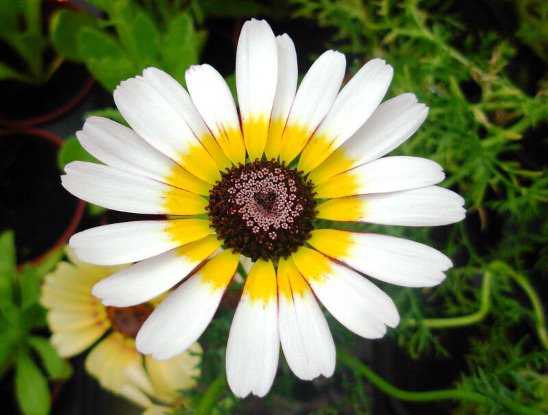 Love_0771.jpg