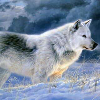 Painting_0428