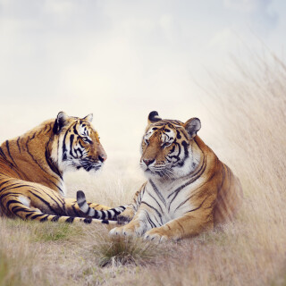 Painting_0578