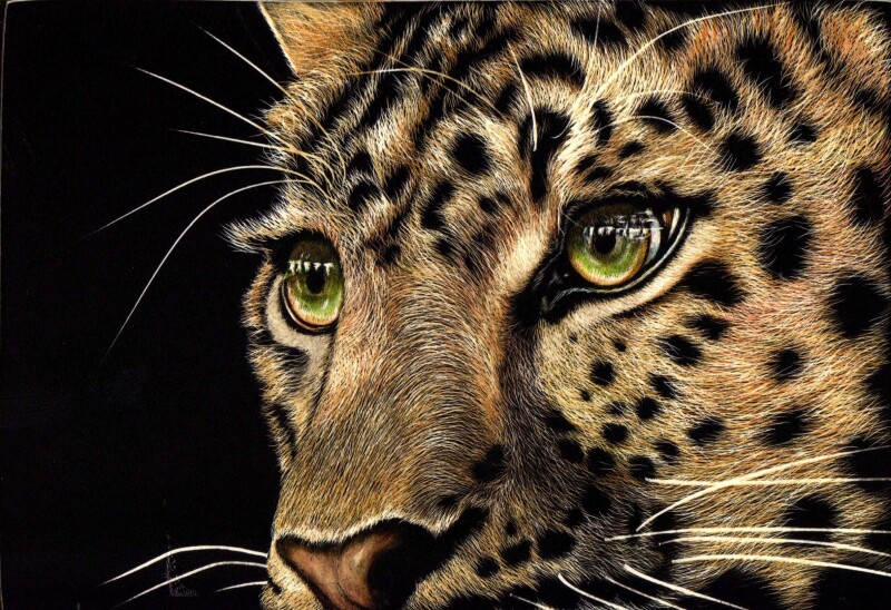 Painting 0631
